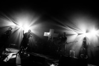 /album/cocotte-minute-13-12-2025-praha-velka-lucerna-foto-by-tom-black/4v3a0412-jpg/